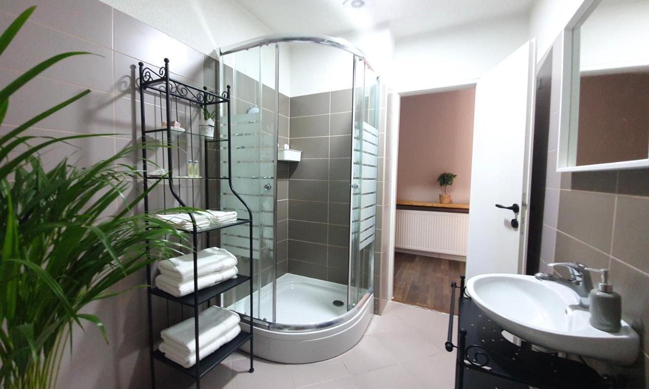 Apartment Murva Drežnik Grad Extérieur photo