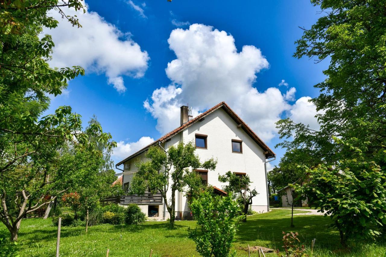 Apartment Murva Drežnik Grad Extérieur photo